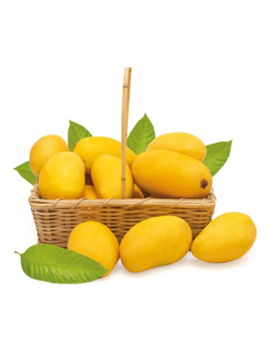 Langra Mangoes - Image 2