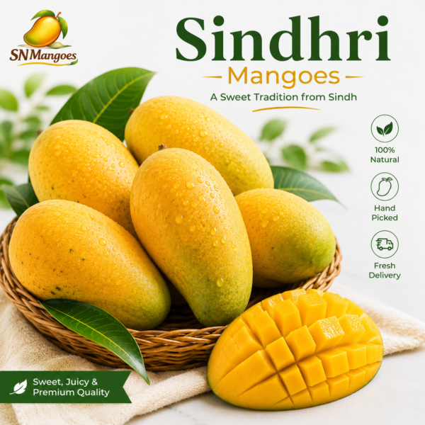 Sindhri Mangoes